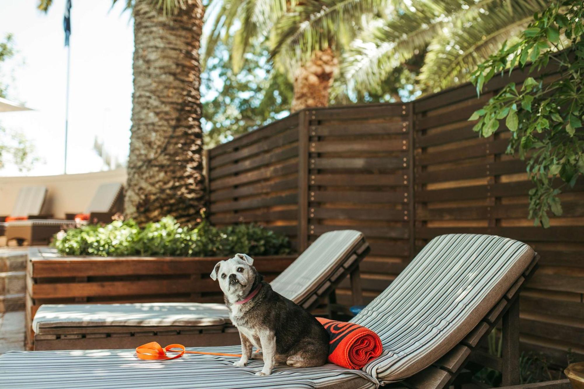 Sunsquare Gardens Hotel 4*
